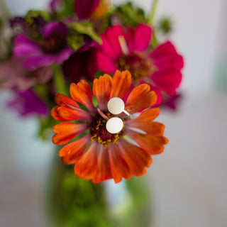 Latched Wrap | Breast Milk Ring