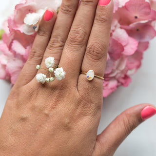 Wild Card | Surprise RING!